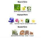 3ml Chanel No 19 Eau de Parfum Chanel Парфумерна вода для жінок розпив відливант, фото 4