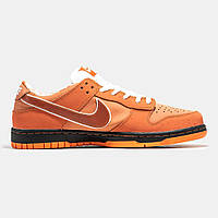 Кроссовки, кеды отличное качество Concepts x Nike SB Dunk Low Orange Lobster Размер 41