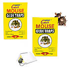 Комплект пастка для мишей 2 шт. "Catch Expert - Mouse glue traps" 2 листи 13х18 см, клейова пастка