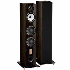 Triangle Antal 40th Anniversary