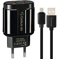 Сетевое зарядное устройство Gelius Pro Avangard GP-HC06 2USB 2.4A 12W + кабель MicroUSB Black