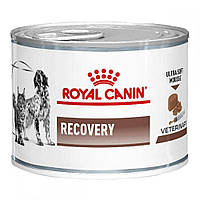 Лечебный влажный корм для собак Royal Canin Recovery в период восстановления 195 г