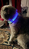Яскравий світний нашийник USB для собак і котів. Колір — ЖЕЛТИЙ. XS-XL(18-58 см), фото 7