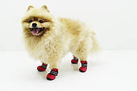 Взуття черевиків для собак Фанат червоні міні 3х4х7 см