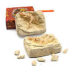 Набір для розкопок Фосілії "Рештки Динозавра в камені".