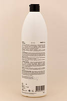 ProfiStyle Шампунь Очищаючий для всіх типів волосся, 1000 мл, фото 2