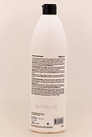 ProfiStyle Живильний Шампунь з Аргановою олією для сухого, ламкого та пошкодженого волосся, 1000 мл, фото 2