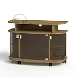 Тумба ТВ Монтеррей (Компаніт) 900х405х643мм, фото 3