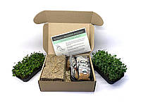 Набір для вирощування мікрозелені L (12 урожаїв) Microgreens Dnipro