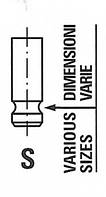 Клапан FRECCIA R6722SNT OPEL AGILA (B) (H08), OPEL AGILA (B) (H08), OPEL AGILA (B) (H08), SUZUKI SPLASH,