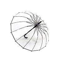 Прозрачный зонт-трость женский полуавтомат с 16 спицами Fiaba BSZ-310-1