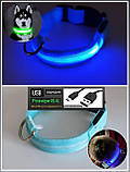 Яскравий світний нашийник USB для собак і котів. Колір —ЗЕЛЕНИЙ. XS-XL(18-58 см), фото 7
