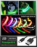 Яскравий світний нашийник USB для собак і котів. Колір —БІЛИЙ. XS-XL(18-58 см), фото 3