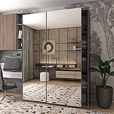 Шафа купе Doros G-Caiser Графіт 2 Дзеркала 180х60х240 (42005012), фото 4