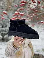 UGG Ultra Mini Platform Black. Угги ультра мини на платформе. Черные замша.