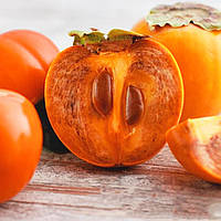 Саджанці хурми