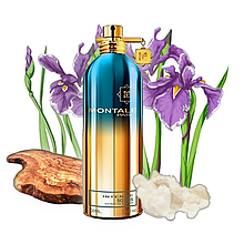 Парфумована вода унісекс MONTALE Intense So Iris 100 мл