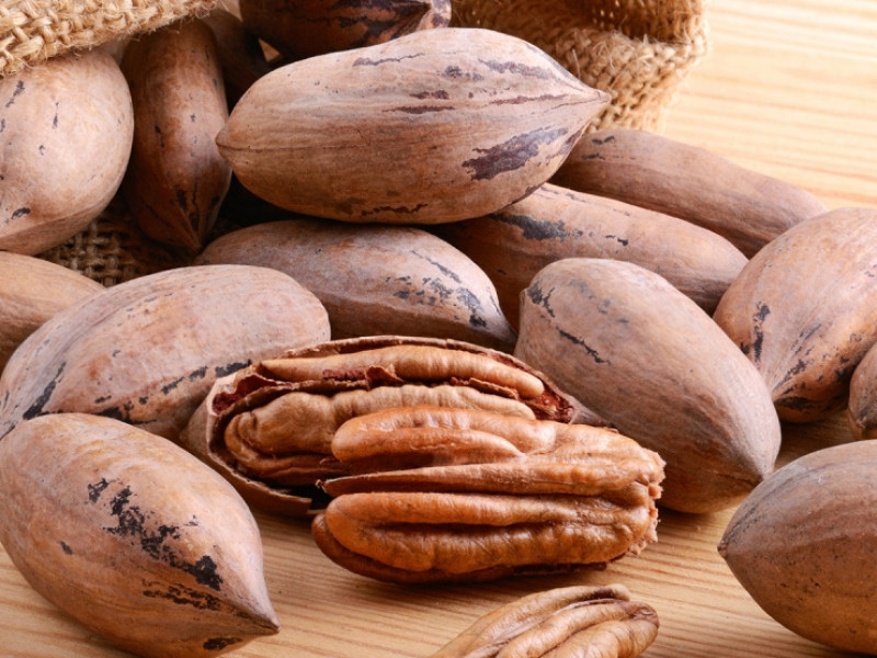 Пекан Кейп Фір (Однорічний, ОКС), фото 1