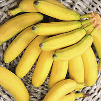 Банан Карликовий Кавендіш (однорічні, зкс)