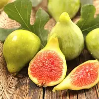 Інжир Медовий (10-30 см, ЗКС)