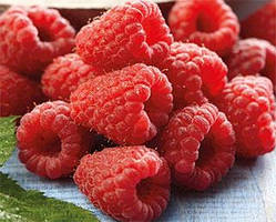 Малина Париж (ОКС)