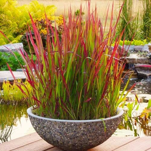 Імперату циліндрична редтримання сокет, фото 1