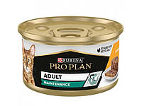 Purina Pro Plan Adult Maintenance (банка) Консервы для кошек Паштет с кусочками курицы 85 гр ж/б