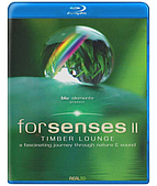 Forsenses II - Timber Lounge • A Fascinating Journey...