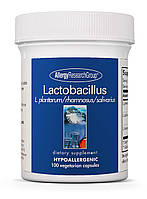 Lactobacillus plantarum/rhamnosus/salivarius, 100 Vegetarian Capsules