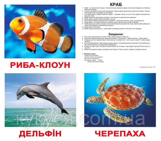Картки Домана для розвитку дітей Картки Домана МЕШКАНЦІ ВОДОЙМ