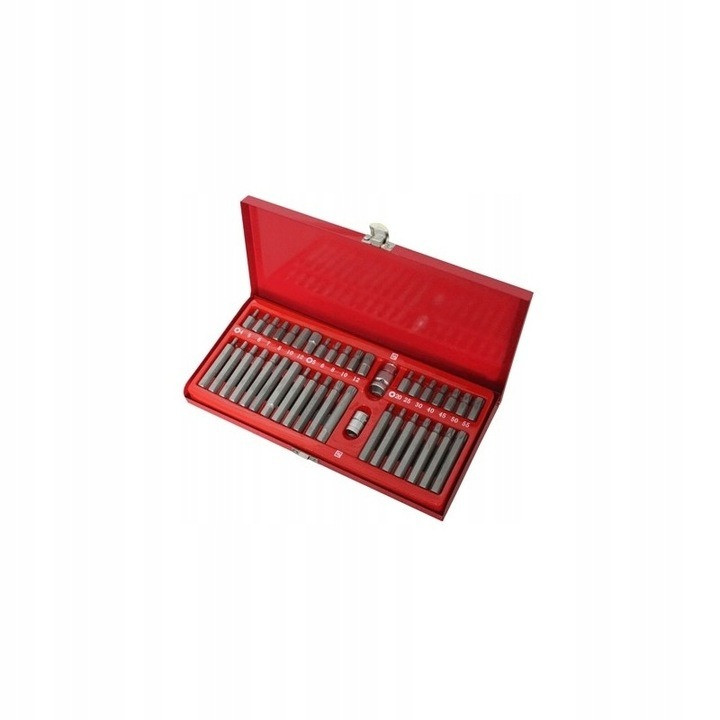 Набір біт Magnus MGS13093 40од., металевий кейс, фото 1