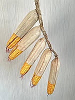 Штучна кукурудза. Кукурудза для декору (кіска 5 штук), фото 2