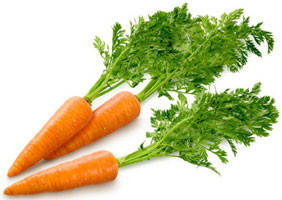 Насіння моркви для фермерів