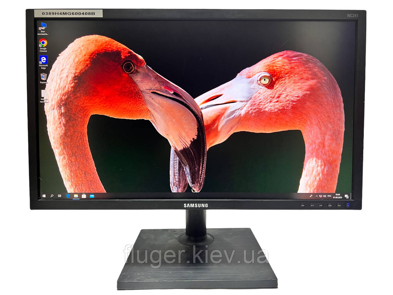 Монітор Samsung NC241 / 24" (1920x1080) TN / VGA / VESA 100x100 / Вбудовані колонки 2x 1 W, фото 1