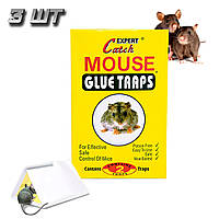 Комплект клейова мишоловка 3 шт Catch Expert - Mouse glue traps 2 листи 13х18 см, липка пастка для мишей