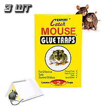 Комплект клейова мишоловка 3 шт Catch Expert - Mouse glue traps 2 листи 13х18 см, липка пастка для мишей