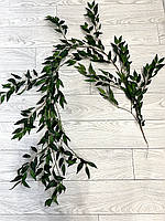 Штучна лиана рускусу ( Premium 170 см), фото 2