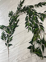 Штучна лиана рускусу ( Premium 170 см), фото 3