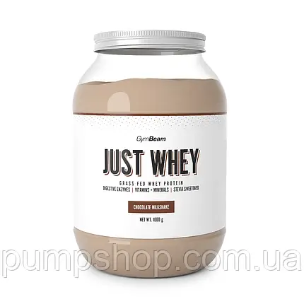 Багатокомпонентний протеїн GymBeam Just Whey 1000 г ( різні смаки ), фото 2