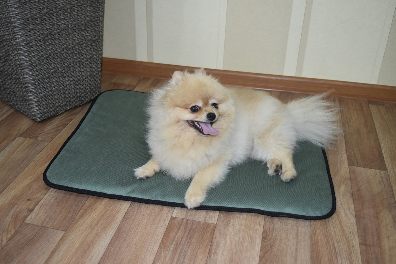 Матрац для котів і собак Меджик 40x50x2 см