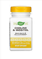 Холін і інозитол Nature's Way, Choline Inositol, 500 мг, 100 капсул