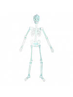 Декор на Хэллоуин - "Скелет" цвет белый ЦБ-00229756