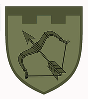 Шеврон 113 отдельная бригада территориальной обороны (113 ОБр ТрО) Шевроны на заказ на липучке (AN-12-311-18)
