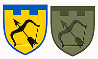 Шеврон 113 отдельная бригада территориальной обороны (113 ОБр ТрО) Шевроны на заказ на липучке (AN-12-311-19)