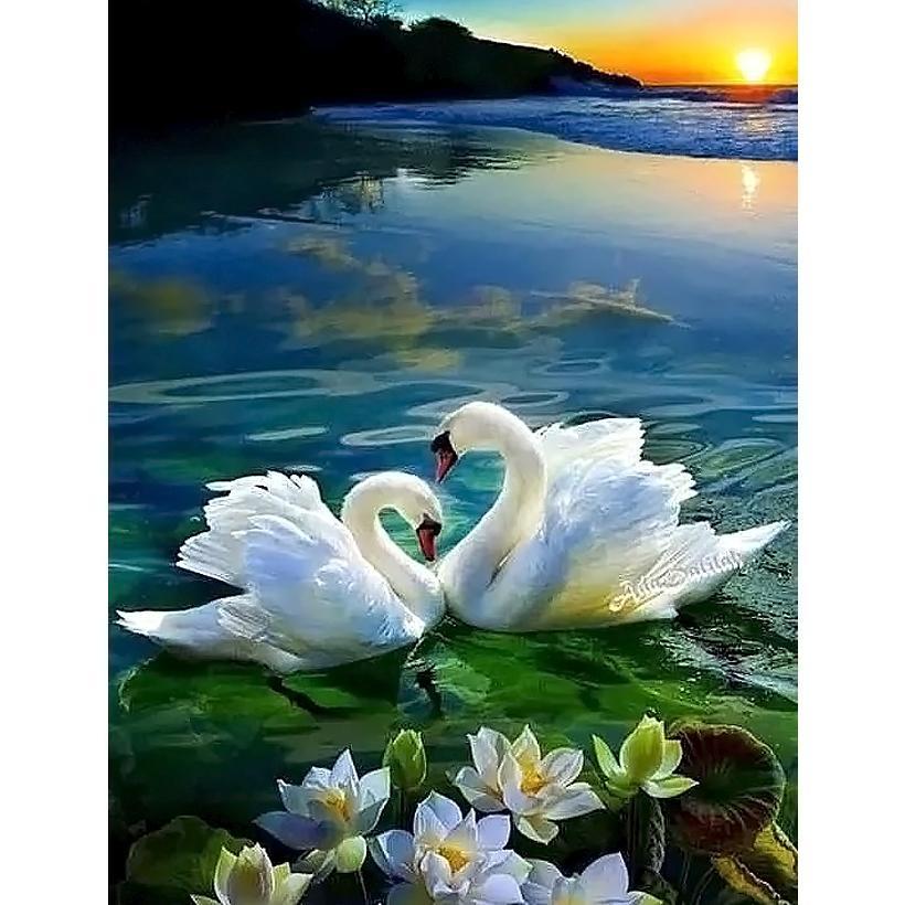 Картина за номерами 40x50 см DIY Пара лебедів (FRA 73489)