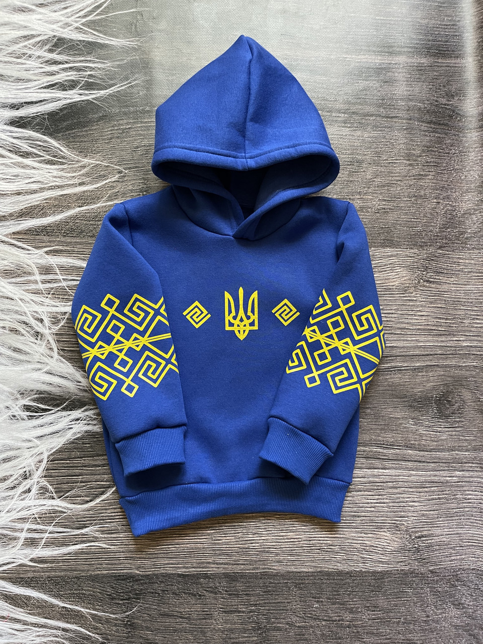 Дитячий теплий світшот на хлопчика «Герб»