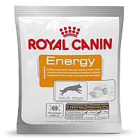 Royal Canin Energy 50 г х 12 шт (Роял Канин Енерджи) лакомство для активных собак при тренировках