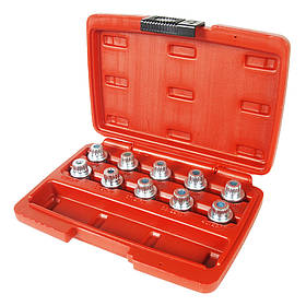 Набір головок для секреток BMW 10 од. 4318 JTC