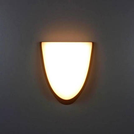 Фасадний світильник 9828 LED 12W IP54, фото 2