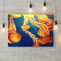 Картина на холсте "Светящиеся медузы"